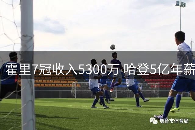 霍里7冠收入5300万 哈登5亿年薪仍无冠